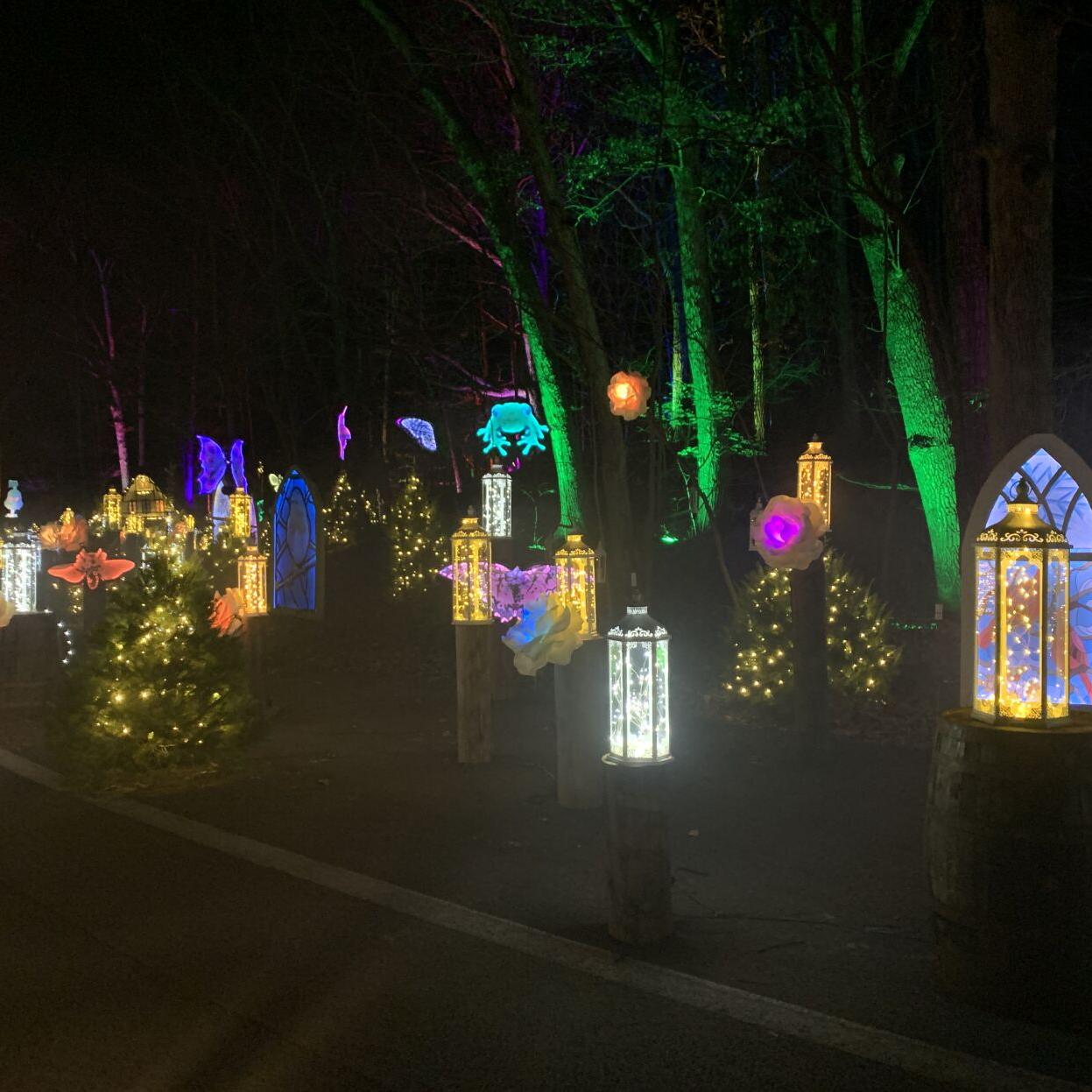 Winter Woods Spectacular (17).JPG